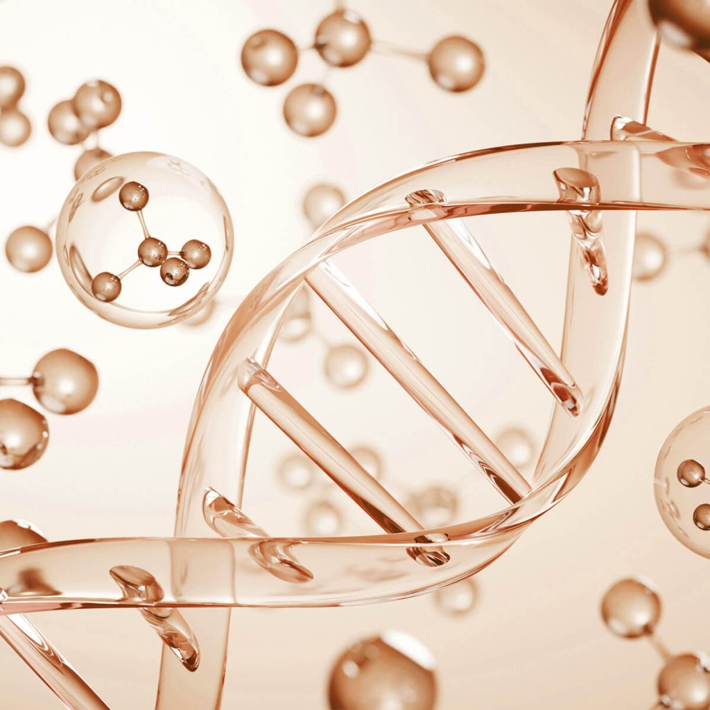 dtd dna biology
